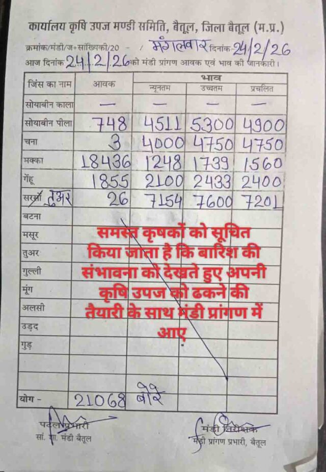 Betul Mandi Bhav: बैतूल मंडी में 21068 बोरी आवक, मक्का सबसे ज्यादा; जानें सोयाबीन, गेहूं, चना के ताजा भाव