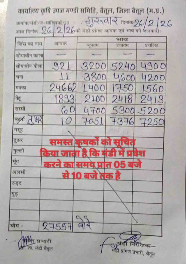 Betul Mandi Bhav: बैतूल मंडी में 25317 बोरी आवक, मक्का और गेहूं की सबसे ज्यादा आमद | जानें 26 फरवरी 2026 के ताजा भाव