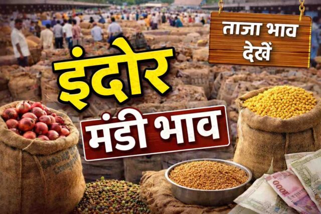 Indore Mandi Bhav: इंदौर मंडी भाव 19 फरवरी: लहसुन 800 से 8000, डॉलर चना 8670 तक, जानें आज के ताजा रेट