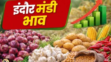 Indore Mandi Bhav: इंदौर मंडी भाव 21 फरवरी 2026: प्याज 1420 टन से ज्यादा आवक, लहसुन 500 से 10000 तक बिका