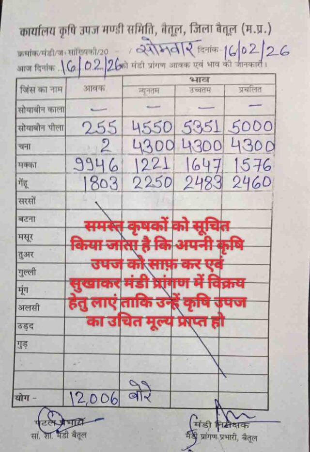 Betul Mandi Bhav 16 February 2026: 16 फरवरी 2026 के बैतूल मंडी भाव: 12,006 बोरी आवक, मक्का सबसे आगे, जानें गेहूं-चना- सोयाबीन के रेट
