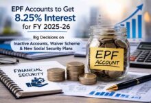 EPF New Interest Rate: ईपीएफ खातों पर 8.25% ब्याज मंजूर: निष्क्रिय खातों का स्वतः निपटान, नई योजनाओं को हरी झंडी
