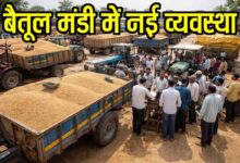 Betul Wheat Mandi Auction: बैतूल मंडी में बड़ा बदलाव: अब ट्रॉली में ही होगी गेहूं की नीलामी, किसानों का समय बचेगा