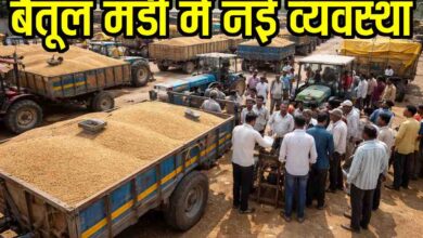 Betul Wheat Mandi Auction: बैतूल मंडी में बड़ा बदलाव: अब ट्रॉली में ही होगी गेहूं की नीलामी, किसानों का समय बचेगा