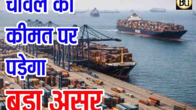 West Asia Tension Rice Export: पश्चिम एशिया में तनाव से चावल की कीमतों पर पड़ेगा बड़ा असर, सरकार ने बुलाई बैठक, होंगे बड़े फैसले