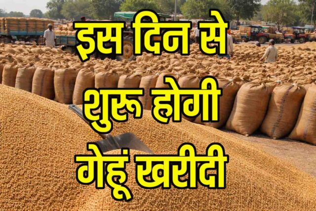 MP Wheat Procurement 2026: एमपी में गेहूं खरीदी की तारीखों का ऐलान, 2625 रुपये प्रति क्विंटल दाम और बोनस, देखें डिटेल