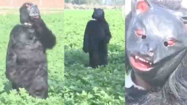 Ajab Gajab News: यहाँ खेतों में भालू बनकर घूम रहे किसान, इसलिए हुए यह कदम उठाने को मजबूर