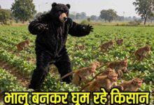 Ajab Gajab News: यहाँ खेतों में भालू बनकर घूम रहे किसान, इसलिए हुए यह कदम उठाने को मजबूर