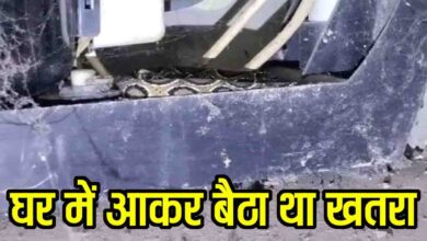Russell Viper Video: घर में फ्रिज के नीचे बैठा था खतरनाक रसेल वाइपर, सर्प मित्र ने किया रेस्क्यू, नहीं जाती नजर तो...