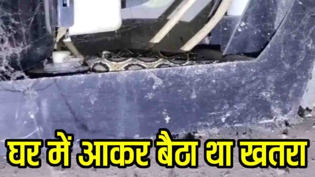 Russell Viper Video: घर में फ्रिज के नीचे बैठा था खतरनाक रसेल वाइपर, सर्प मित्र ने किया रेस्क्यू, नहीं जाती नजर तो...