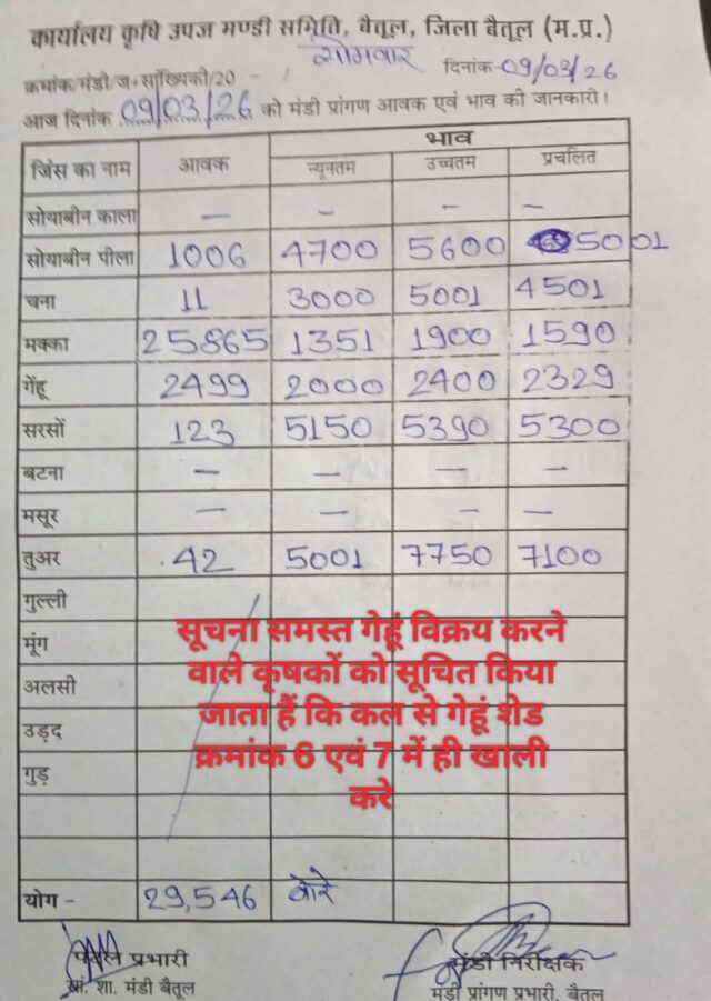 Betul Mandi Bhav: बैतूल मंडी भाव 9 मार्च 2026: मक्का की सबसे ज्यादा आवक, सोयाबीन 5600 तक, गेहूं 2400 रुपये क्विंटल