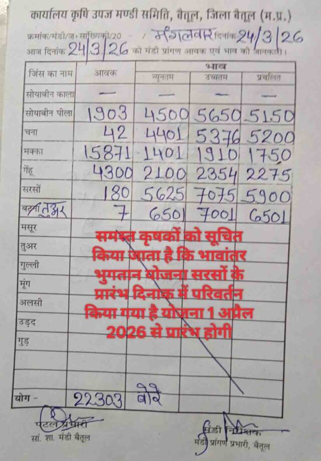 Betul Mandi Bhav 24 March: बैतूल मंडी भाव 24 मार्च 2026: मक्का की रिकॉर्ड आवक, सरसों-तुअर के ऊंचे दाम