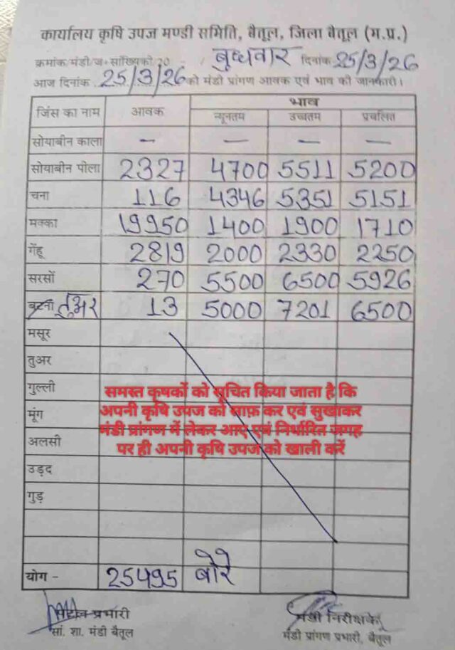 Betul Mandi Bhav 25 March: बैतूल मंडी में मक्का की भारी आवक से भाव पर दबाव, सरसों-तुअर में दिखी मजबूती