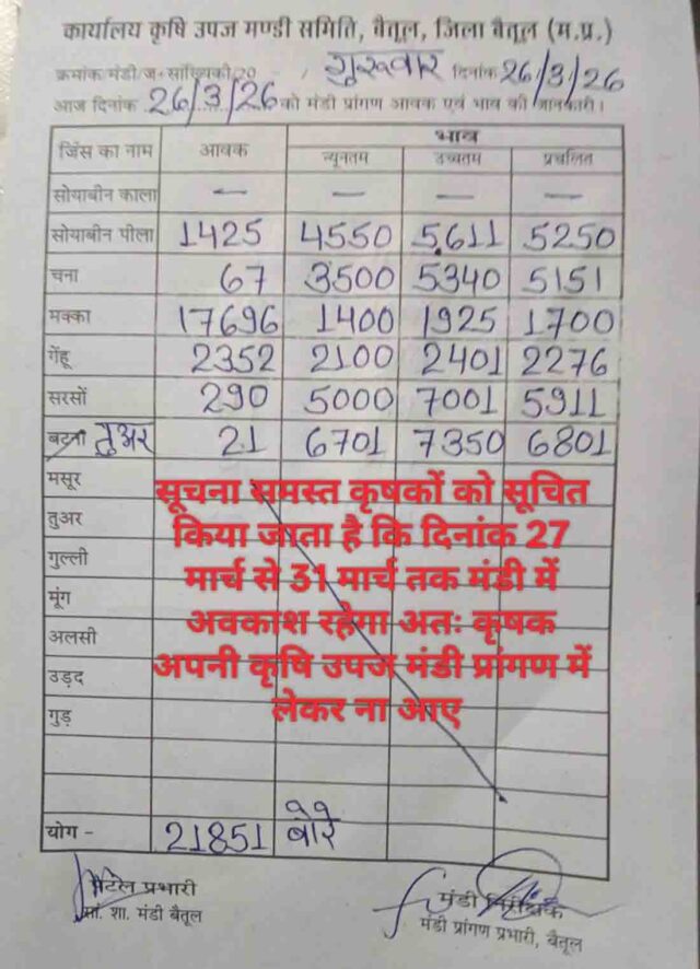Betul Mandi Bhav 26 March: बैतूल मंडी में 21851 बोरी आवक, मक्का और गेहूं की भरमार, अब 5 दिन रहेगा अवकाश