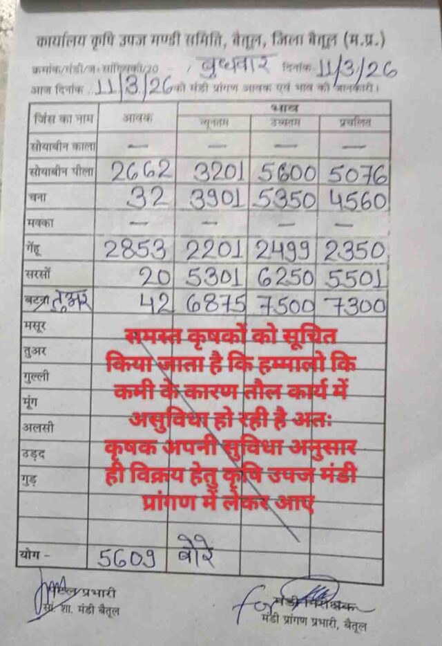 Betul Mandi Bhav: बैतूल मंडी भाव 11 मार्च: सोयाबीन 5600 और तुअर 7500 तक पहुंची, गेहूं 2499 रुपये क्विंटल