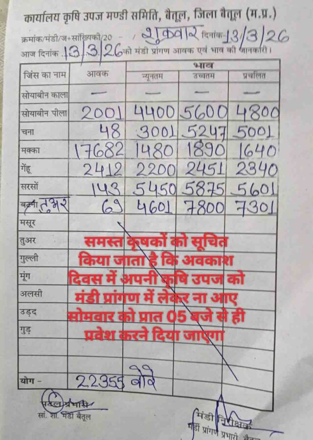 Betul Mandi Bhav 13 March: बैतूल मंडी भाव 13 मार्च 2026: मक्का की सबसे ज्यादा आवक, सोयाबीन 5600 और तुअर 7800 तक पहुंचा भाव
