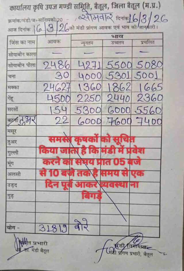 Betul Mandi Bhav: बैतूल मंडी में 31819 बोरी आवक, मक्का सबसे ज्यादा; जानिए सोयाबीन, गेहूं, सरसों और तुअर के ताजा भाव