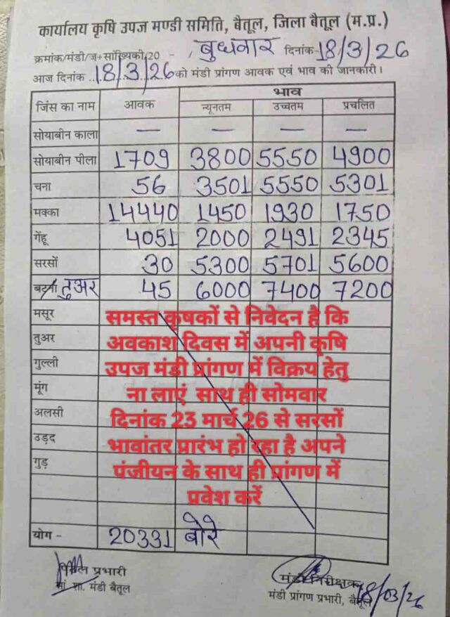 Betul mandi bhav 18 March: बैतूल मंडी में मक्का की बंपर आवक, सरसों-तुअर के भाव ऊंचे; देखें 18 मार्च के ताजा रेट