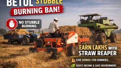 Betul stubble burning ban: नरवाई जलाने को लेकर बैतूल में बड़ा फैसला, कलेक्टर ने लगाई पूरी तरह रोक, नियम तोड़ने पर लगेगा जुर्माना