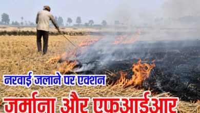 Stubble Burning Betul Action: नरवाई जलाने पर सख्ती: 11 किसानों से 37500 रुपए वसूले, दो के खिलाफ एफआईआर दर्ज