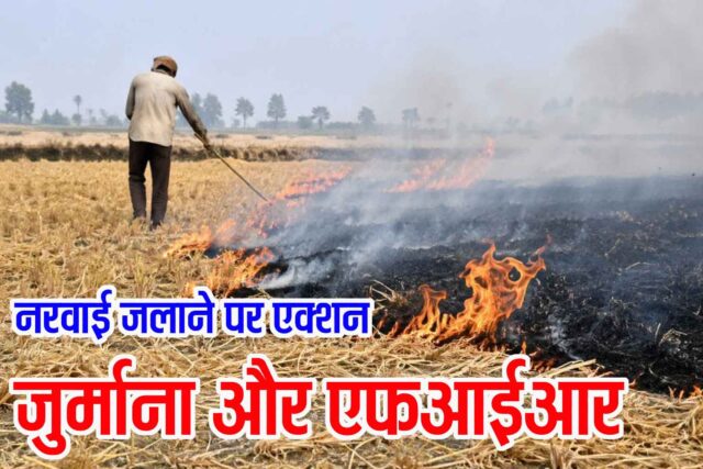 Stubble Burning Betul Action: नरवाई जलाने पर सख्ती: 11 किसानों से 37500 रुपए वसूले, दो के खिलाफ एफआईआर दर्ज