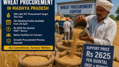wheat procurement: गेहूं खरीदी में बड़ा फैसला: मंझोले-बड़े किसानों के लिए स्लॉट बुकिंग शुरू, तारीख बढ़ी, भुगतान भी तेज