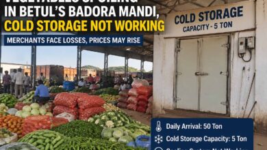 Betul Mandi Vegetable Loss: बडोरा मंडी में सब्जियां हो रहीं खराब, कोल्ड स्टोरेज पर सवाल, कारोबारियों की बढ़ी चिंता