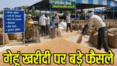 Wheat Procurement MP 2026: गेहूं खरीदी पर निगरानी बढ़ी: मुख्यमंत्री खुद करेंगे औचक निरीक्षण, अब इस तारीख तक होगी स्लॉट बुकिंग