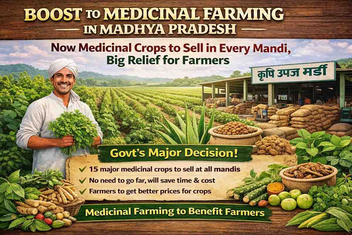 MP Medicinal Crops Mandi Policy: बड़ा फैसला... अब हर मंडी में बिकेंगी औषधीय फसलें, किसानों को मिलेगा बेहतर दाम