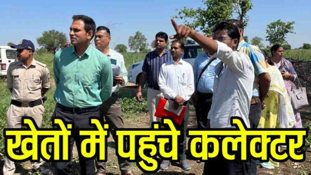 Farmers Initiative: कलेक्टर डॉ. सोनवणे ने दिए निर्देश: किसानों के समूह बनाकर करें पैकेजिंग और ब्रांडिंग, बढ़ेगी आय