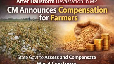 MP Hailstorm Compensation: एमपी में ओलावृष्टि से तबाही, सीएम का बड़ा ऐलान, किसानों को मिलेगा मुआवजा