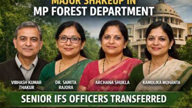 MP Forest Department Transfer: एमपी वन विभाग में बड़ा फेरबदल: कई सीनियर IFS अफसरों के तबादले, नई जिम्मेदारियां तय