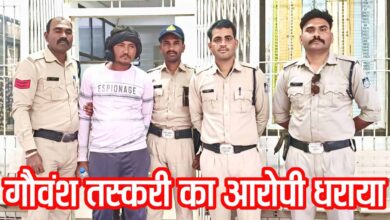 Multai Cow Smuggling Case: मुलताई में गौवंश तस्करी का बड़ा खुलासा, 2 महीने बाद मुख्य आरोपी गिरफ्तार, पुलिस का एक्शन