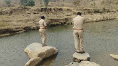 Wife Murder Case Betul: पत्नी की हत्या कर फरार हुआ पति गिरफ्तार, बैतूल पुलिस ने ऐसे सुलझाया सनसनीखेज मामला