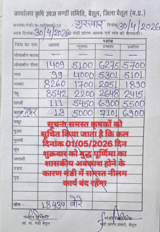 Betul Mandi Bhav: बैतूल मंडी भाव में आई खासी तेजी, तुअर 7101 तक पहुंचा, 1 मई को रहेगा अवकाश 
