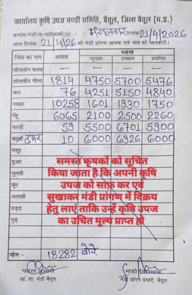 Betul Mandi Bhav 21 April: बैतूल मंडी भाव 21 अप्रैल 2026: सोयाबीन 5700 तक, सरसों 6701 और गेहूं 2500 के करीब