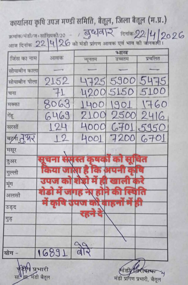 Betul Mandi Bhav: बैतूल मंडी भाव 22 अप्रैल 2026: जानिए आज मक्का, गेहूं और सोयाबीन के क्या रहे ताजा दाम