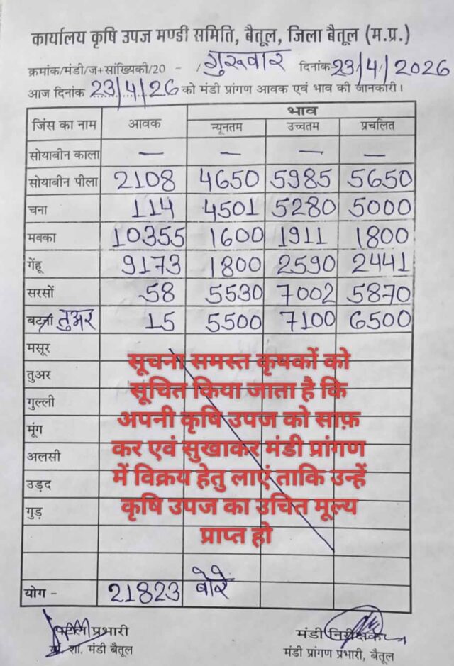 Betul Mandi Bhav: बैतूल मंडी भाव: आज 23 अप्रैल को सोयाबीन और गेहूं के दाम में तेजी, देखें सभी फसलों की ताजा रिपोर्ट
