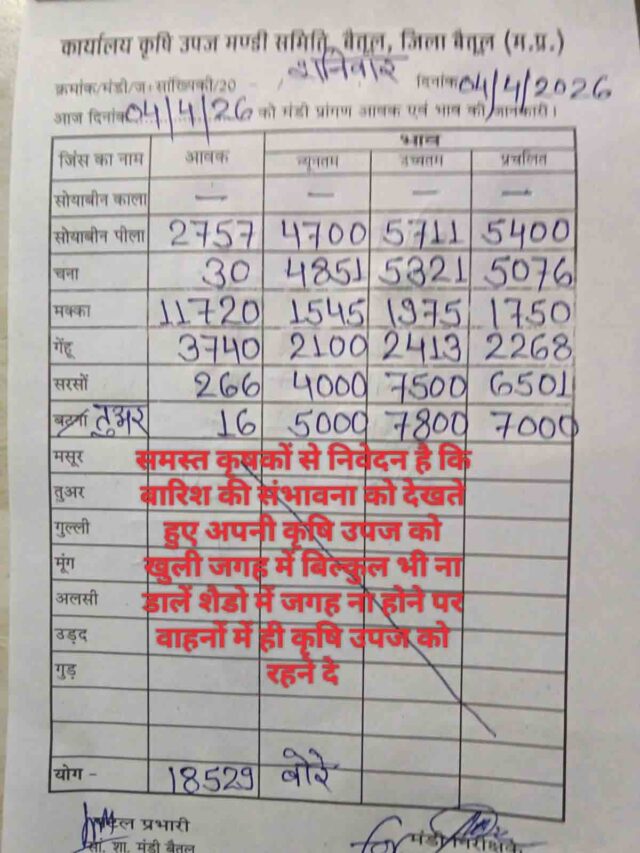Betul Mandi Bhav: बैतूल मंडी भाव अपडेट: सोयाबीन 5400, मक्का 1750, गेहूं 2268 रुपए प्रति क्विंटल