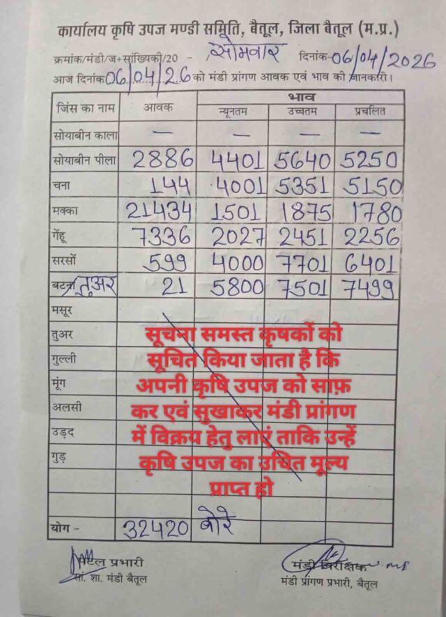 Betul mandi bhav 6 April: बैतूल मंडी भाव 6 अप्रैल 2026: सरसों-तुअर ने मारी बाजी, जानें फसलों के ताजा रेट