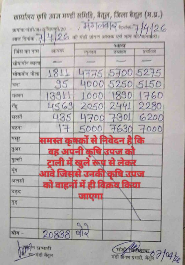 Betul Mandi Bhav 07 April: बैतूल मंडी में तुअर 7630 और सरसों 7301 तक पहुंची, जानें 7 अप्रैल के ताजा भाव और आवक
