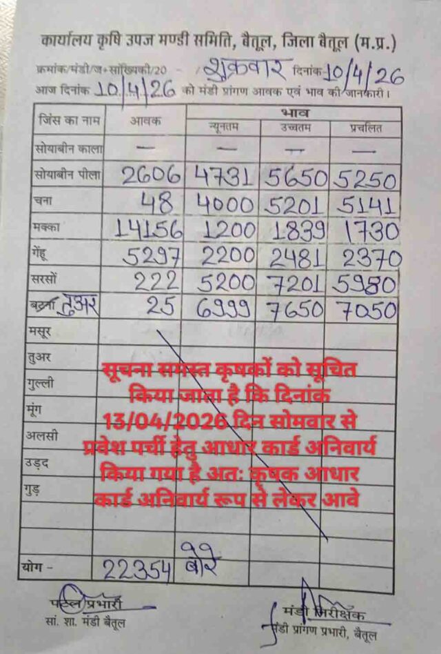 Betul Mandi Bhav 10 April: बैतूल मंडी 10 अप्रैल: 22354 बोरी आवक, मक्का सबसे ज्यादा, जानें सभी फसलों के ताजा भाव