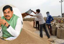 MP Wheat Procurement Record: सीएम मोहन यादव की रंग लाई मेहनत, गेहूं उपार्जन में मध्यप्रदेश देश में नंबर-1