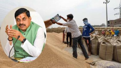 MP Wheat Procurement Record: सीएम मोहन यादव की रंग लाई मेहनत, गेहूं उपार्जन में मध्यप्रदेश देश में नंबर-1