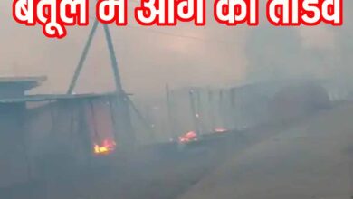 Betul Fire Incident: बैतूल के बर्राढाना में आग का तांडव, 10 घर जलकर खाक, कलेक्टर पहुंचे मौके पर