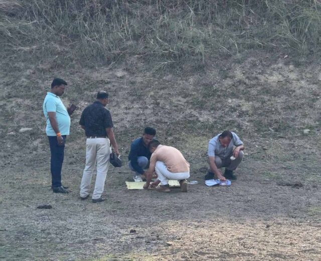 Betul Cow Explosion Case: बैतूल के शाहपुर क्षेत्र में दर्दनाक घटना, विस्फोटक खाने से 11 गोवंश घायल, 3 की मौत