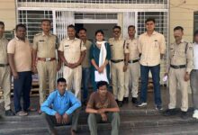 betul police action: सारणी पुलिस का बड़ा एक्शन: 4.783 किलो गांजा जब्त, दो तस्कर गिरफ्तार