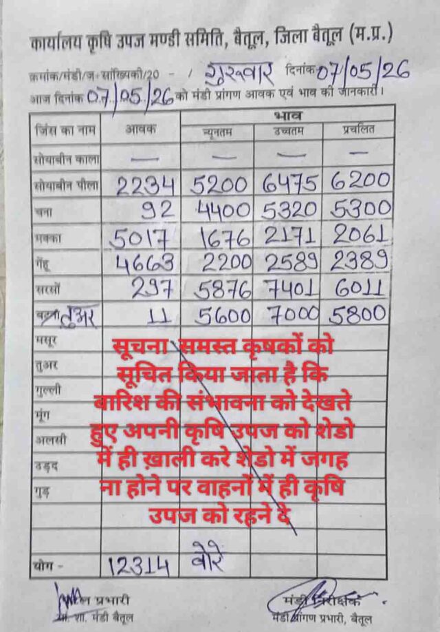 Betul Mandi Bhav 7 May: आज के बैतूल मंडी भाव: सोयाबीन ₹6475 के पार, मक्का और गेहूं की भारी आवक; किसानों के लिए जरूरी अलर्ट जारी