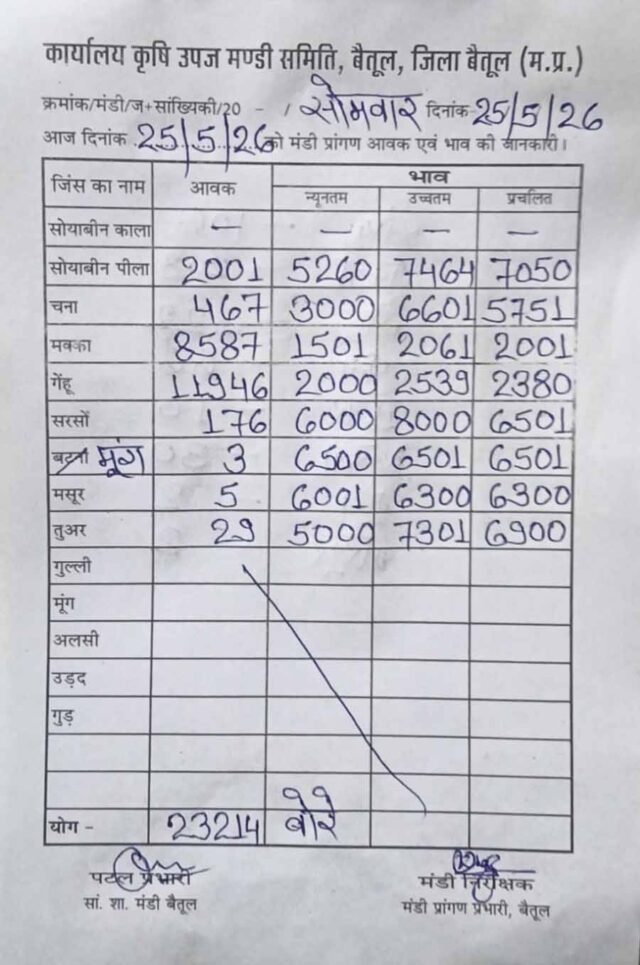 Betul Mandi Bhav 25 May: 23324 बोरी उपज की आवक से गुलजार रही बैतूल मंडी, देखें सभी फसलों के भाव