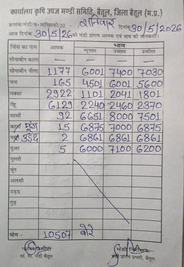 Betul Mandi Bhav 30 May: बैतूल मंडी भाव: सरसों ने छुआ 8000 रुपये का आंकड़ा, जानिए गेहूं-सोयाबीन के ताजा रेट